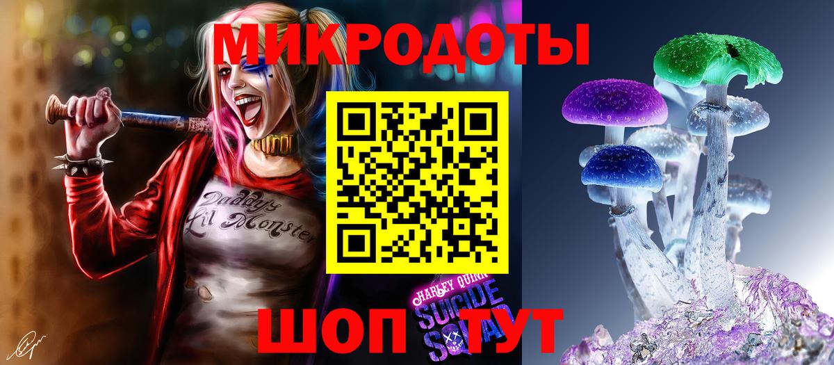 Псилоцибиновые грибы Psilocybine cubensis  Вход с VPN  Горячий Ключ  Псилоцибиновые грибы прущие грибы 